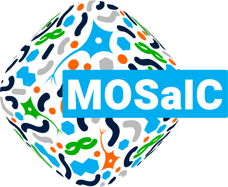 1A logo