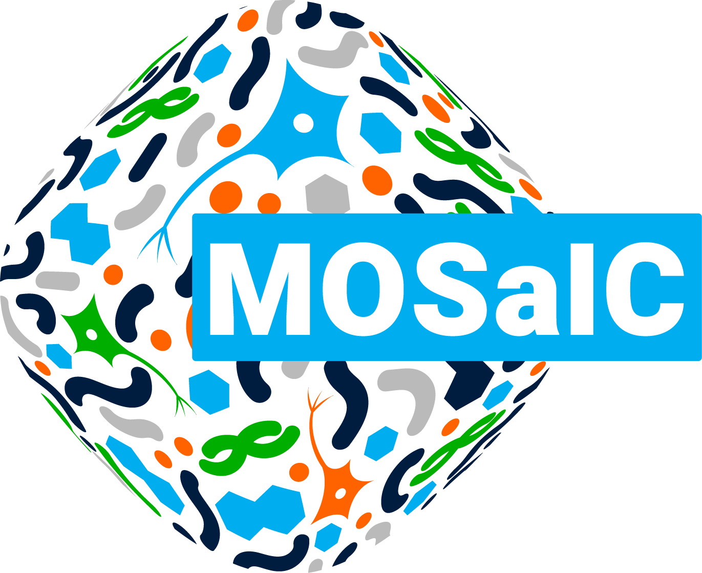 Mosaic logo copy copy