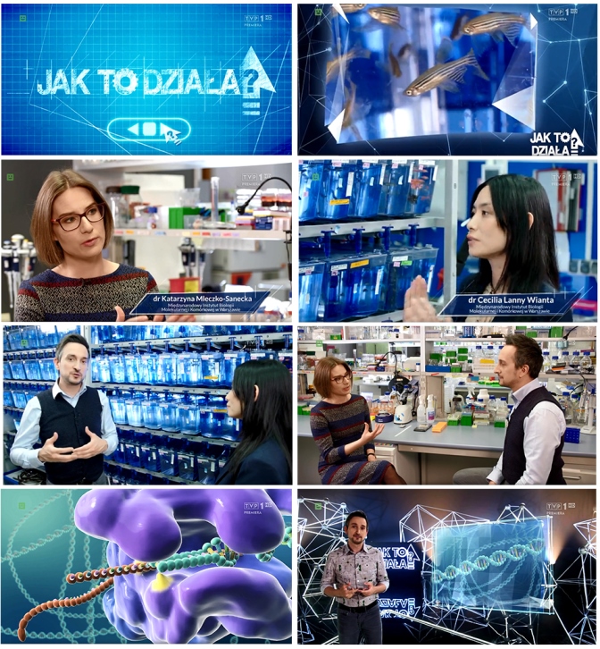Jak to działa Genetyczne kopiuj wklej
