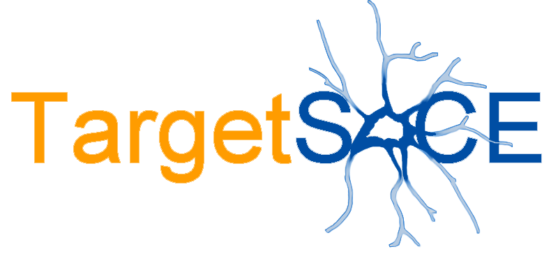 TargetSOCE logo
