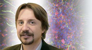 images/badania/molecular_and_cellular_neurobiology.png