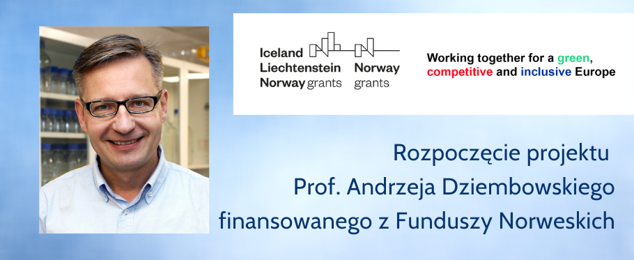 banner grieg AD pl