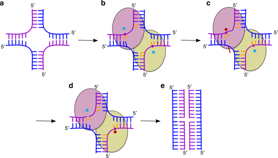 Fig.1