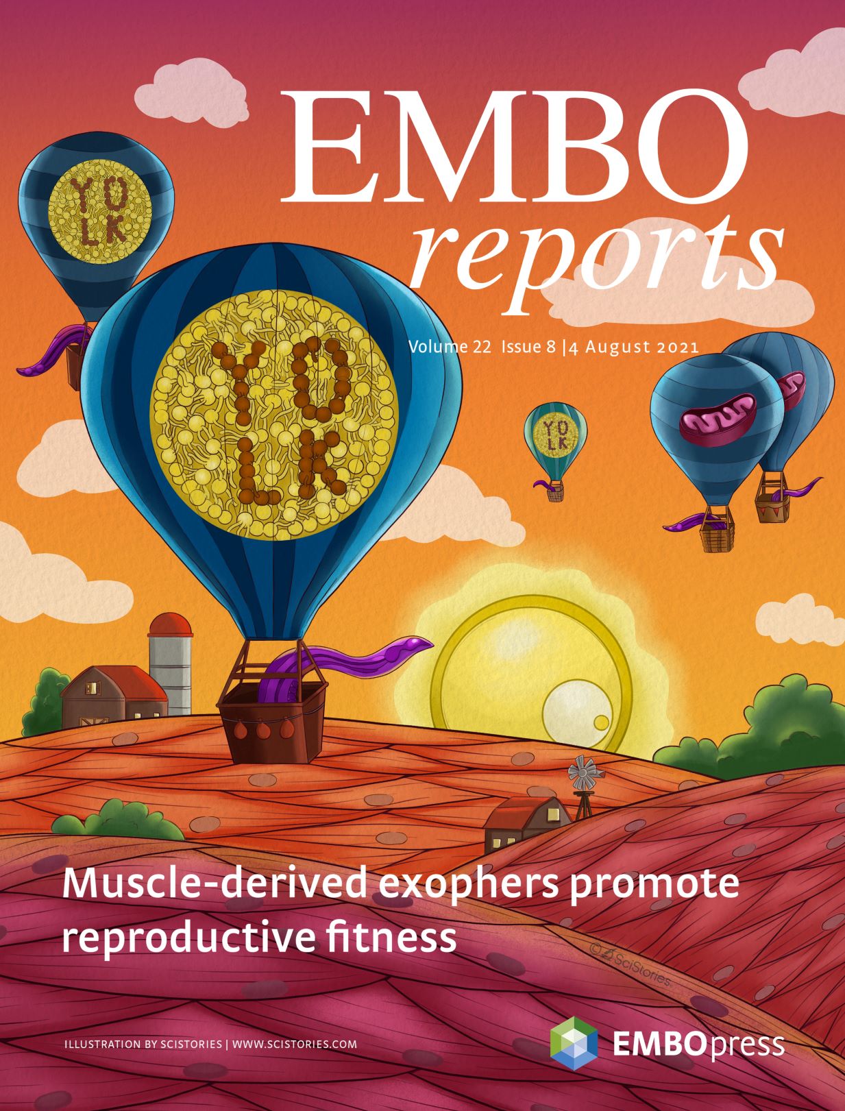 embo cover