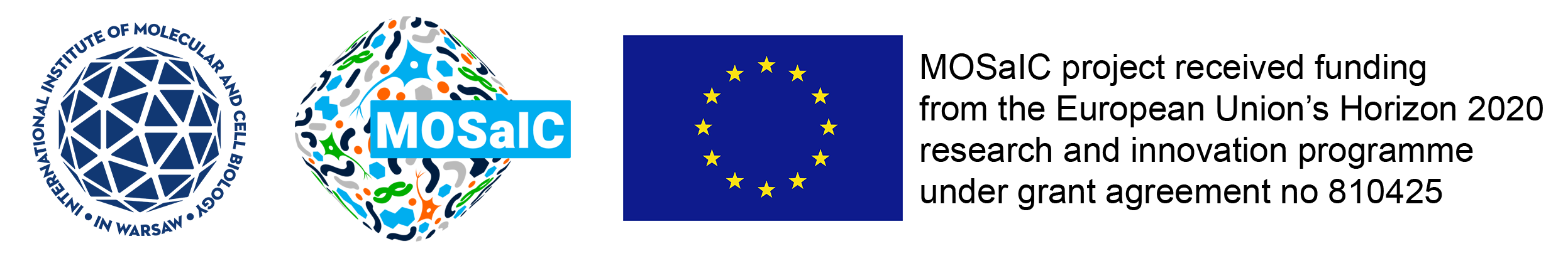 mosaic_footer.png