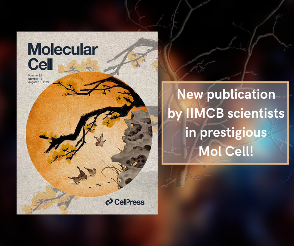 A Dimer-Monomer Switch Controls CHIP-Dependent Substrate Ubiquitylation and Processing - new publication in Molecular Cell