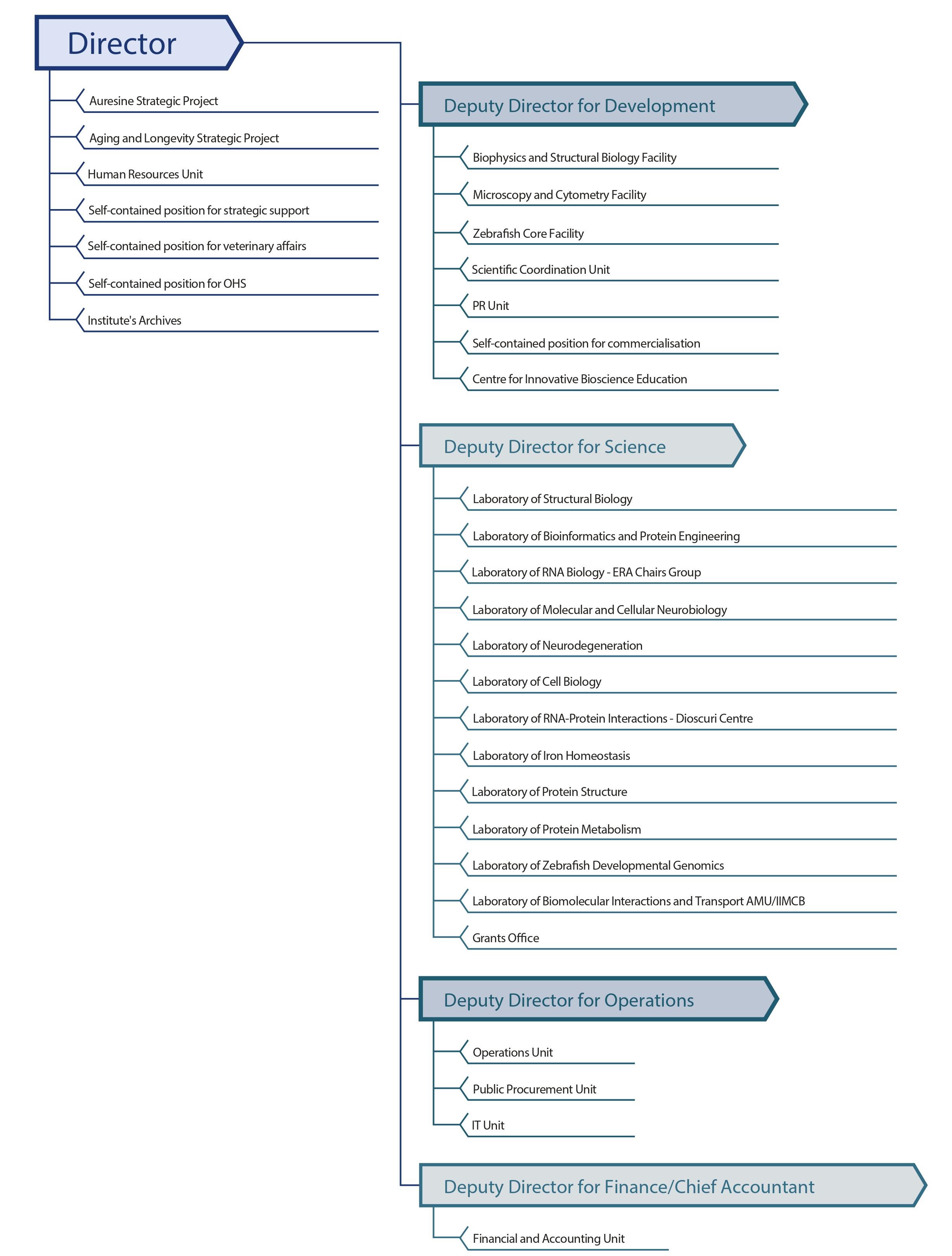 IIMCB organizational structure 2021