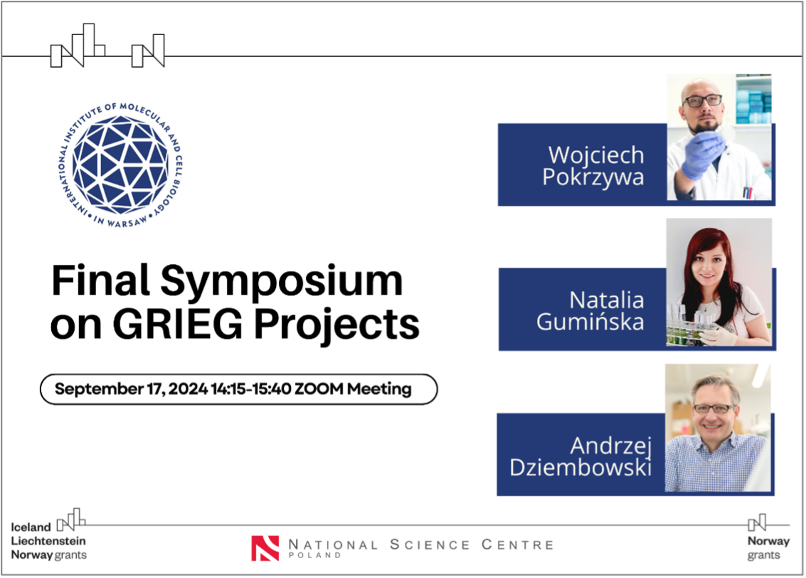 summary-grieg-pokrzywa.png