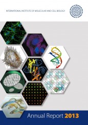 Annual Report 2013